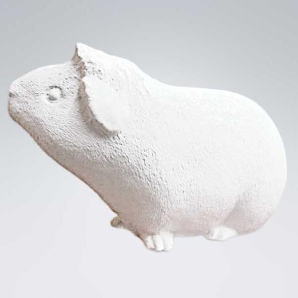Tierurne Meerschweinchen Natur